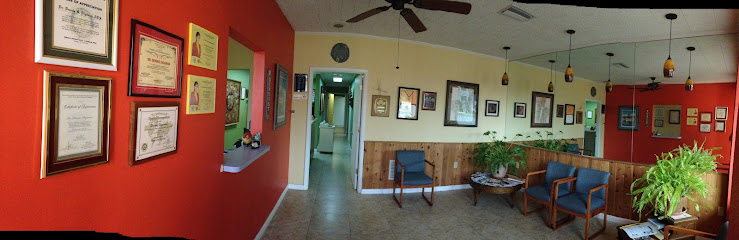 Dentist near Plant City