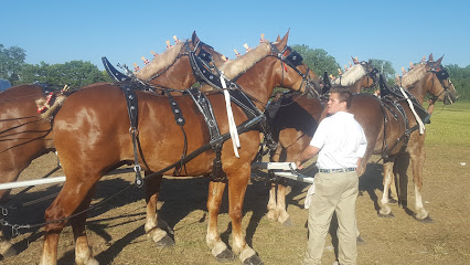 Dentist near Robinson