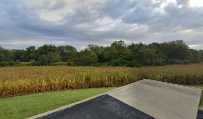 Dentist near Belleville