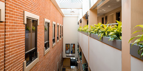 Dentist near Chestnut Hill