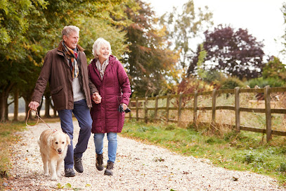 Dentist near New City