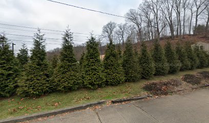 Dentist near Pittsburgh