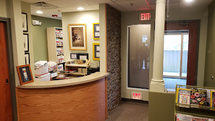 Holzer Mark John DDS