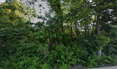 Dentist near Twin Oaks