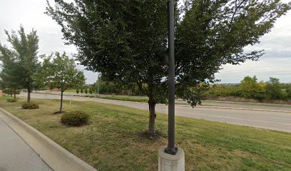 Tabitha J Cummings, DDS