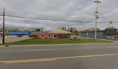 Dentist near Owosso